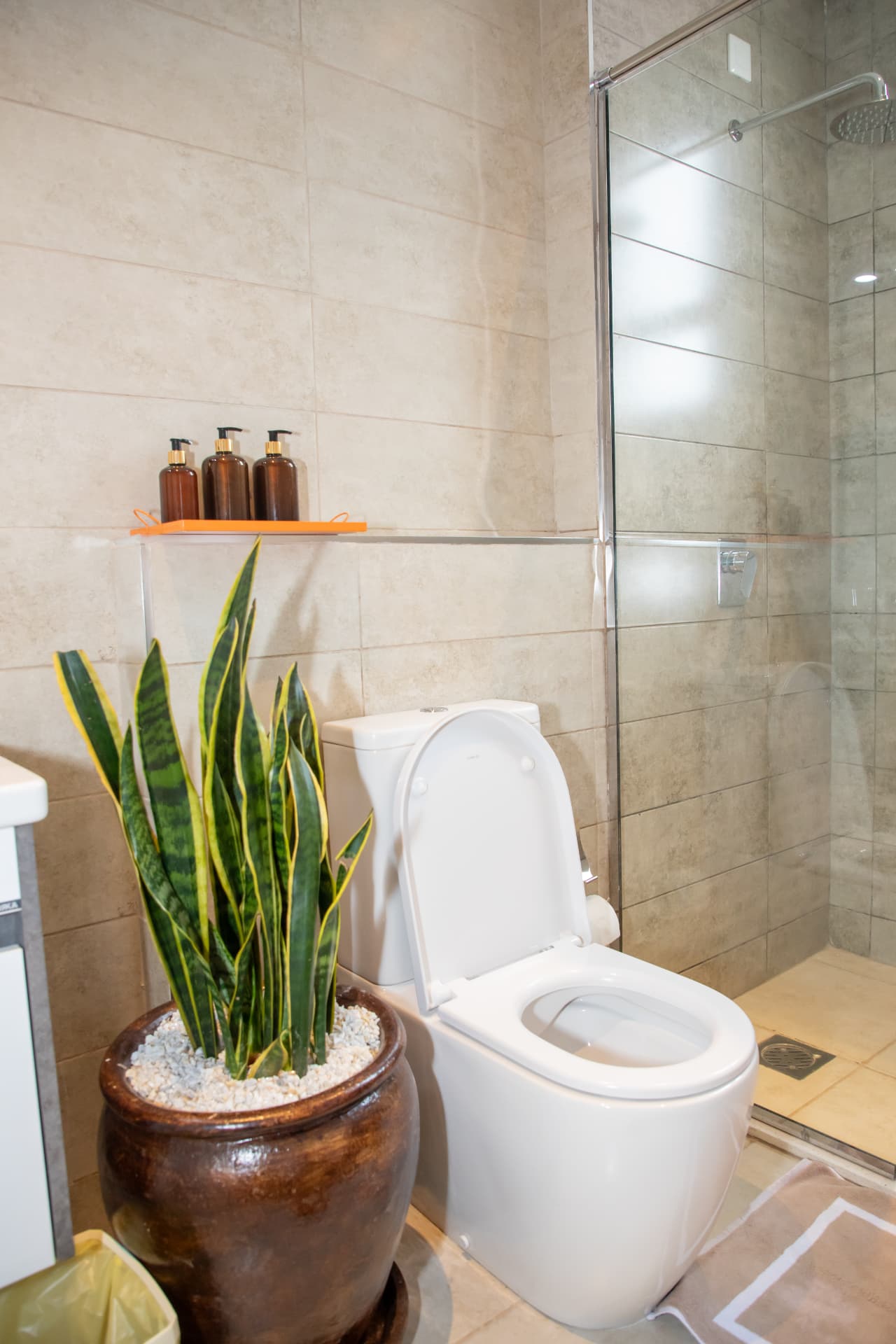 Shower and stone tiling with a plant in the corner