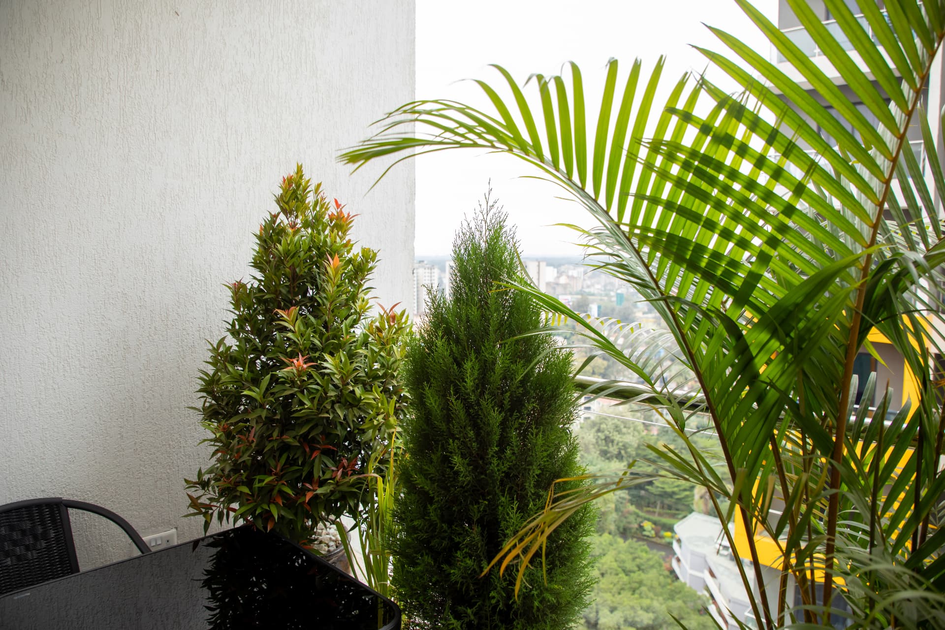 Balcony table and chairs among the plants