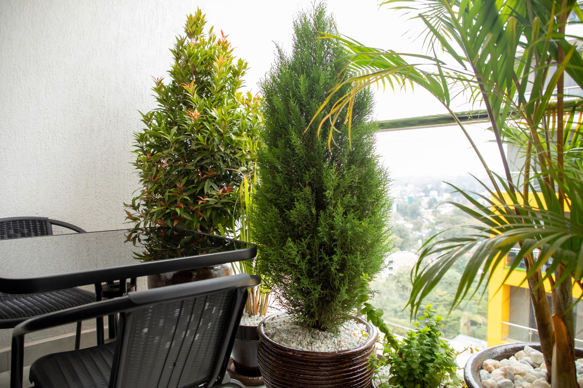 Balcony seating framed by planters with a Nairobi view