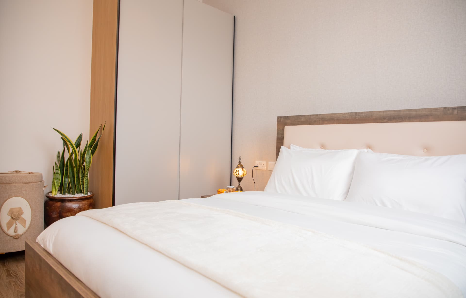 Bedroom corner with snake plant and soft bedside lighting